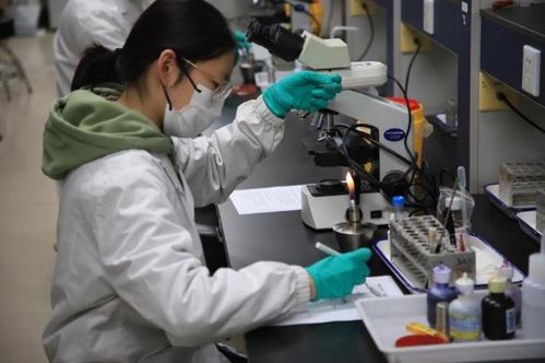 第九屆達承杯醫學檢驗技術專業本科生技能大賽圓滿落幕，技術研發成果顯著